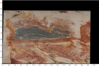 Picasso Quartzite Slabs Presenting Vivid Color Layers