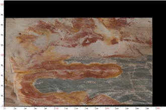 Picasso Quartzite Slabs Showcasing Striking Color Contrasts