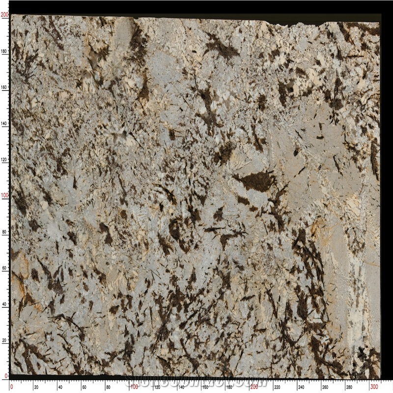 Splendor White Granite Slabs Blended Gray - Brown Hues