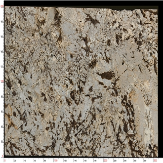 Splendor White Granite Slabs Blended Gray - Brown Hues