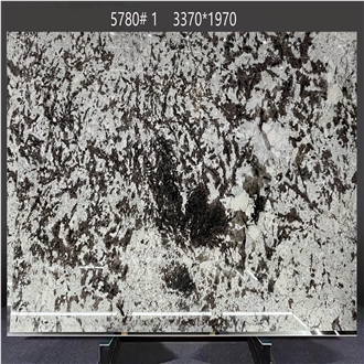 Splendor White Granite Slabs Blended Gray - Brown Hues