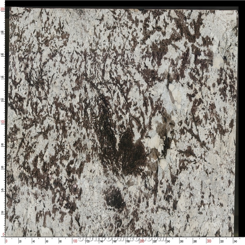Splendor White Granite Slabs Blended Gray - Brown Hues