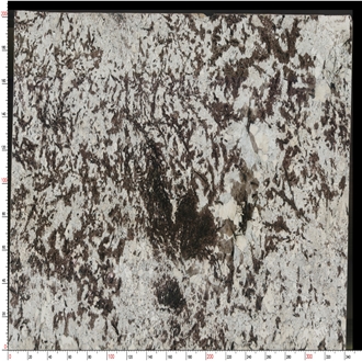 Splendor White Granite Slabs Blended Gray - Brown Hues