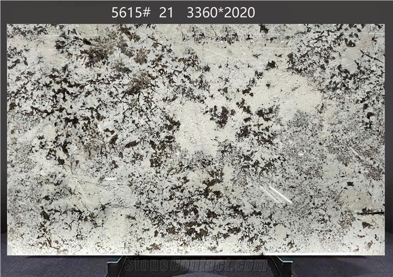 Splendor White Granite Slabs Dispersed Dark Inclusions