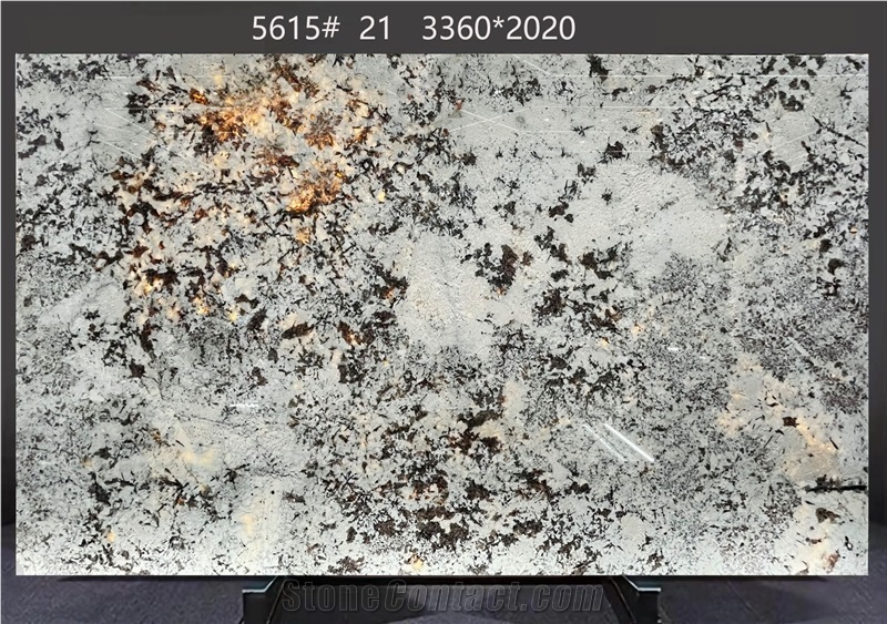 Splendor White Granite Slabs Dispersed Dark Inclusions