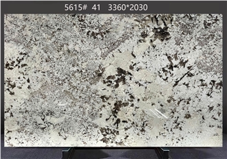 Splendor White Granite Slabs Dispersed Dark Inclusions