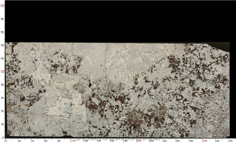 Splendor White Granite Slabs Displaying Tile For Decoration