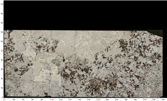 Splendor White Granite Slabs Displaying Tile For Decoration Splendor White Granite Slabs Displaying Tile For Decoration