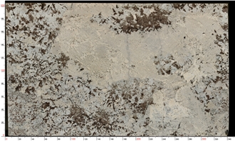 Splendor White Granite Slabs Featuring Layered Color Splendor White Granite Slabs Featuring Layered Color