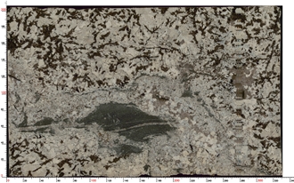 Splendor White Granite Slabs Featuring Layered Color