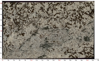 Splendor White Granite Slabs Featuring Layered Color