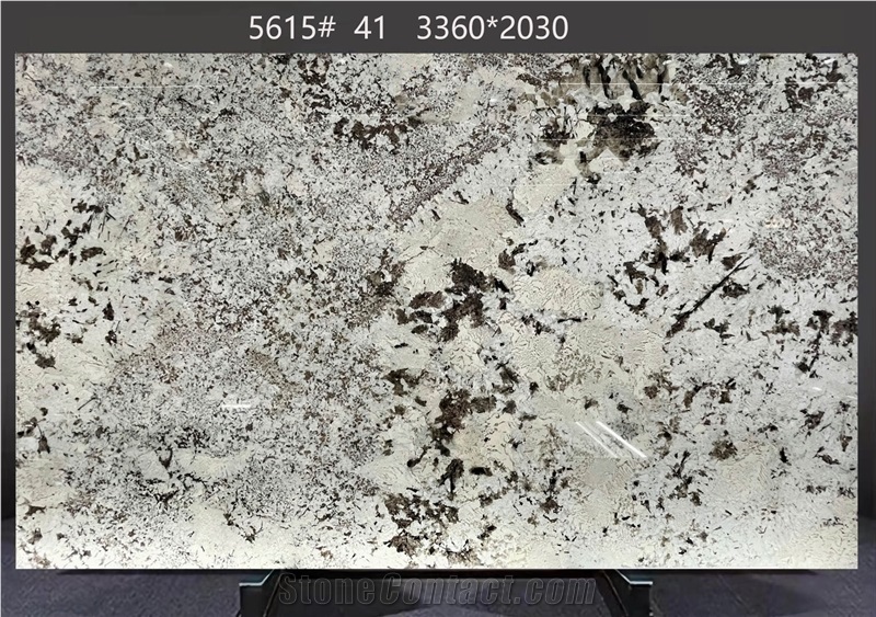 Splendor White Granite Slabs With Asymmetric Dark Veining