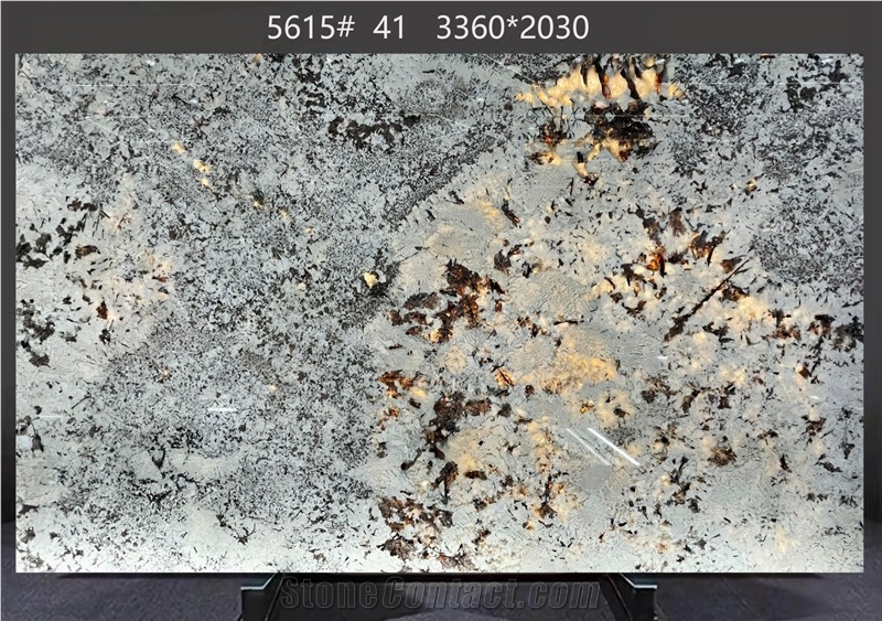 Splendor White Granite Slabs With Asymmetric Dark Veining