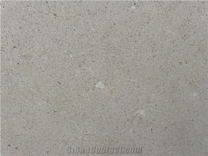 French Venetian Grey Limestone Slabs