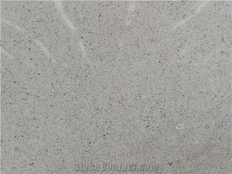 French Venetian Grey Limestone Slabs