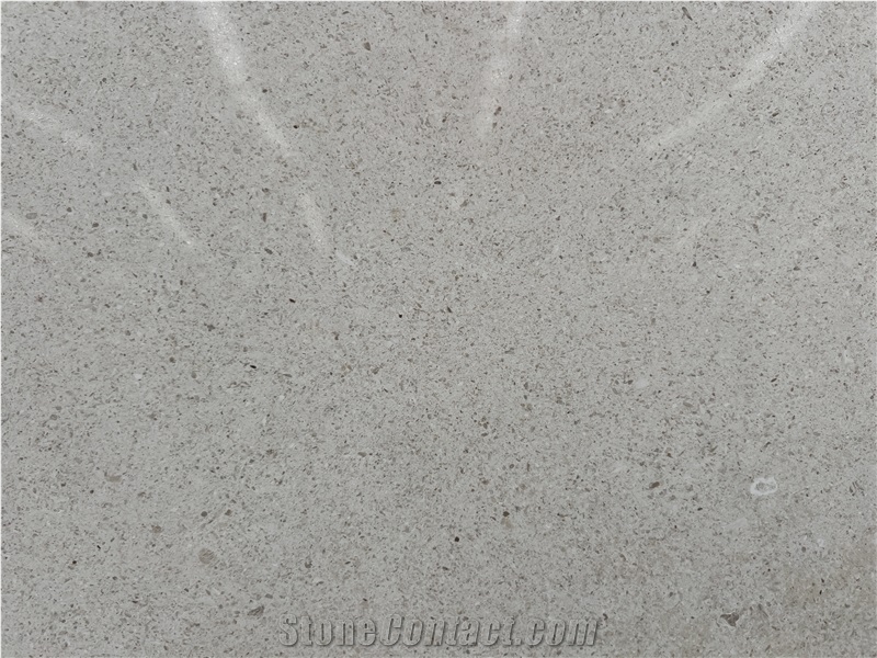 French Venetian Grey Limestone Slabs