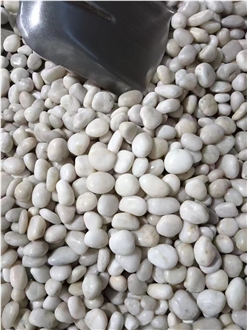Highly Polished White Pebble Garden Pebbles