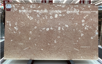 Polished Pink Oriental Fossil Limestone Slabs