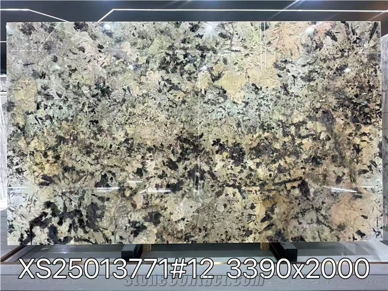 Brazil White Patagonia Granite  Slabs