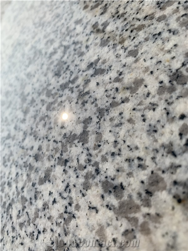 Hubei Sesame White Granite Slabs