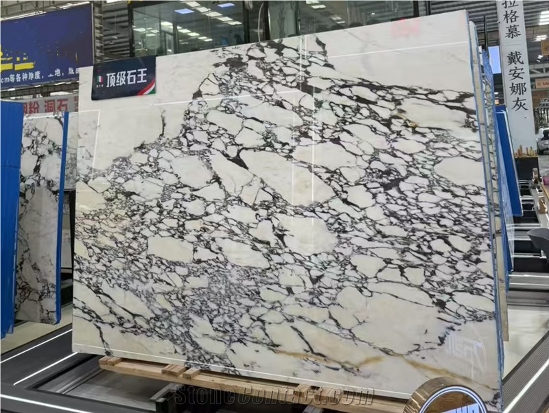 Calacatta Viola Marble Slabs