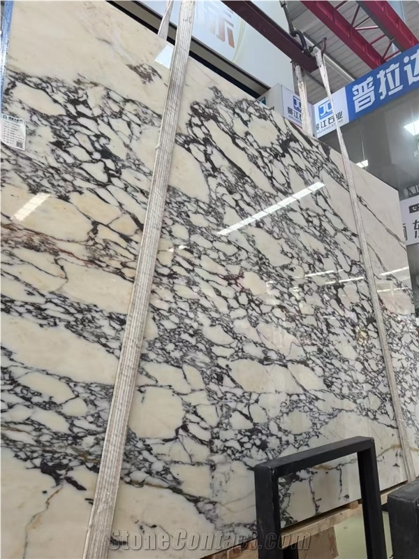 Calacatta Viola Marble Slabs