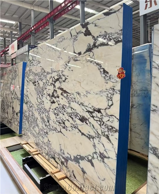 Calacatta Viola Marble Slabs