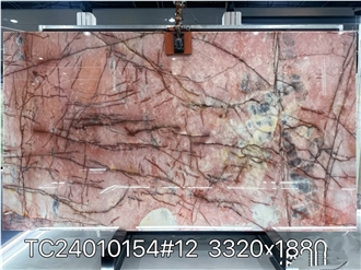 Cosmopolitan Quartzite Polish Slabs For Decoration