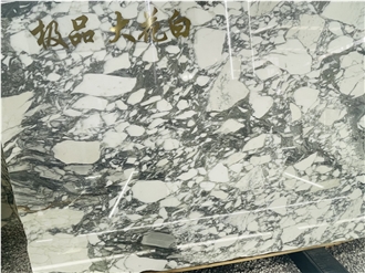 Italy Arabescato Corchia Marble Slabs For Luxury Decor Italy Arabescato Corchia Marble Slabs For Luxury Decor