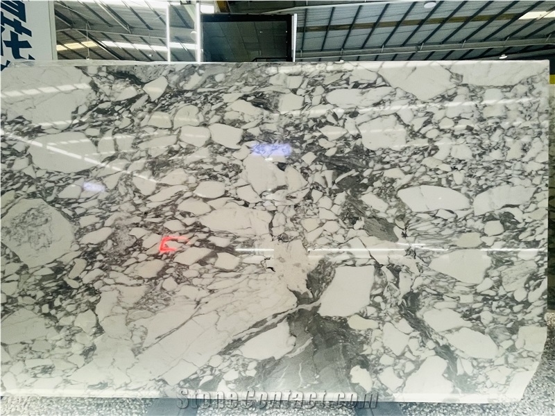Italy Arabescato Corchia Marble Slabs For Luxury Decor