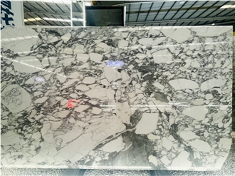 Italy Arabescato Corchia Marble Slabs For Luxury Decor