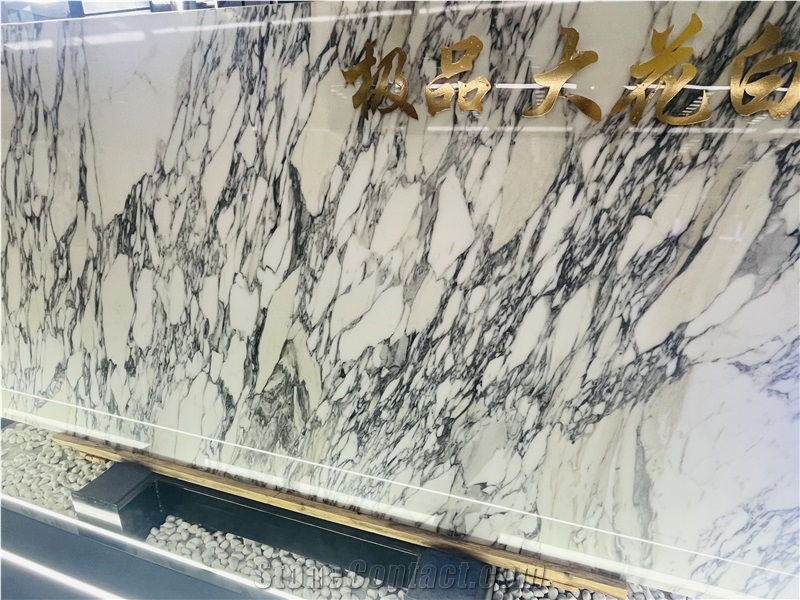 Italy Arabescato Corchia Marble Slabs For Luxury Decor