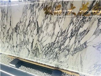 Italy Arabescato Corchia Marble Slabs For Luxury Decor