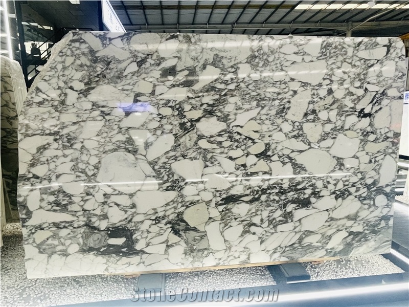 Italy Arabescato Corchia Marble Slabs For Luxury Decor
