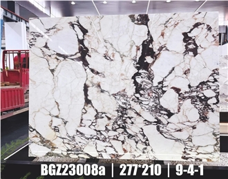 Italy Calacatta Viola Marble Slabs Polished