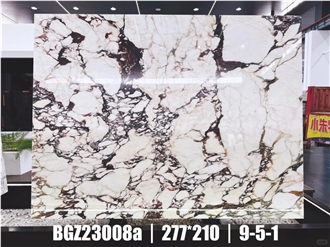 Italy Calacatta Viola Marble Slabs Polished