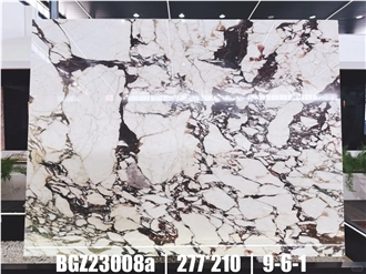 Italy Calacatta Viola Marble Slabs Polished