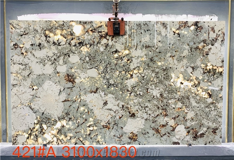 Nice Splendor White Granite Slabs For Luxury Design