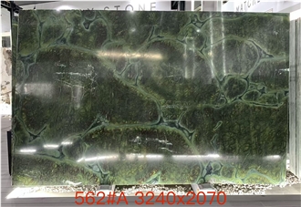 Vitoria Regia Quartzite Slabs