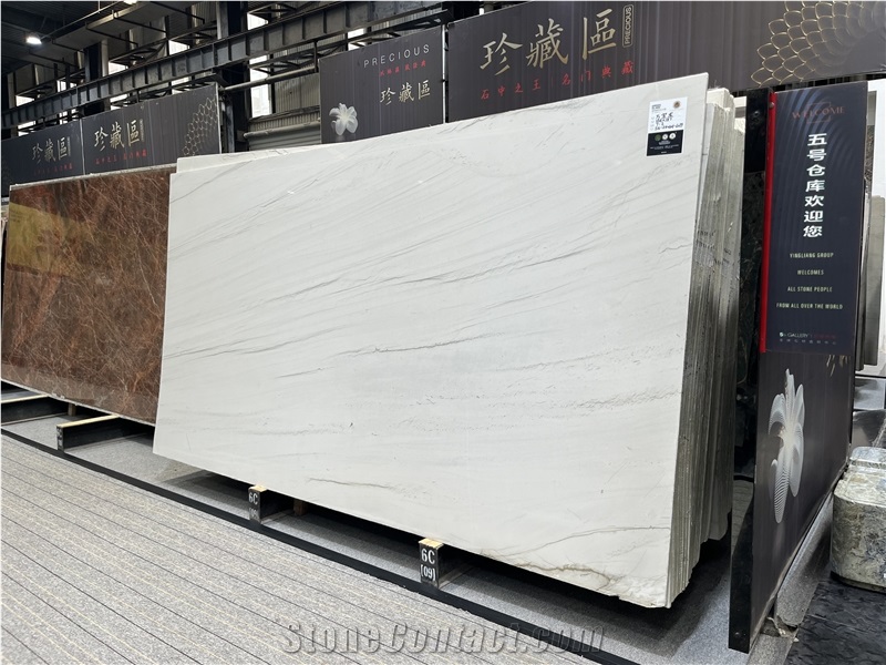 Brazil White Mont Blanc Quartzite Slabs