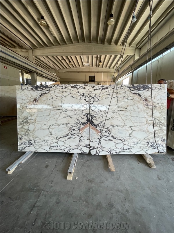 Calacatta Viola Marble Slabs Tiles