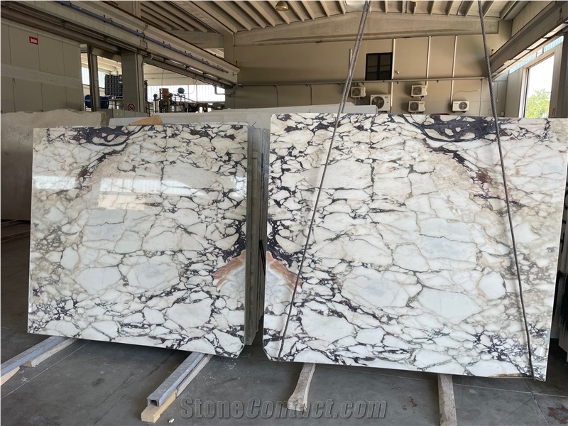 Calacatta Viola Marble Slabs Tiles