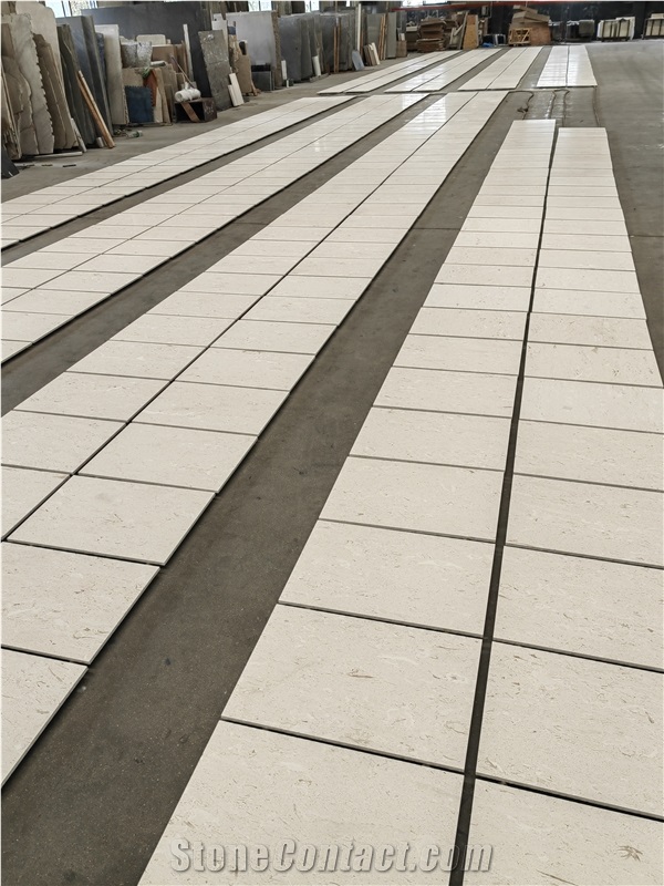 Shelly Beige Marble Floor Tiles