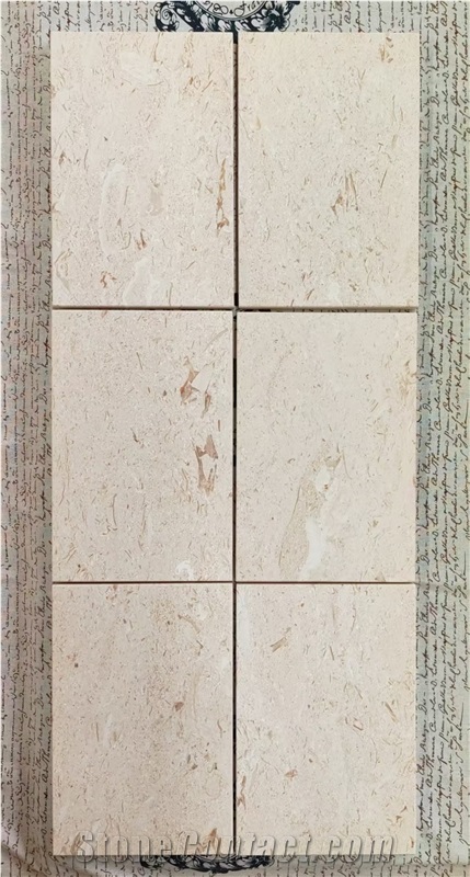 Shelly Beige Marble Floor Tiles