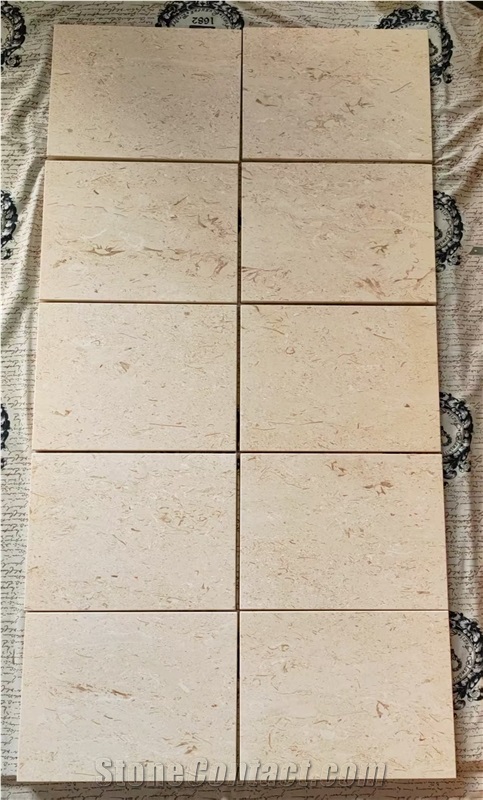 Shelly Beige Marble Floor Tiles
