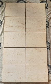 Shelly Beige Marble Floor Tiles