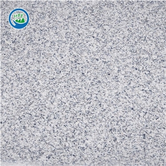 G603 New White Grey Granite Floor Tiles