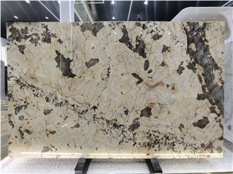 Patagonia Quartzite Polished Slabs