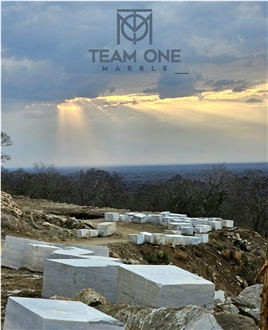 Team One Marble