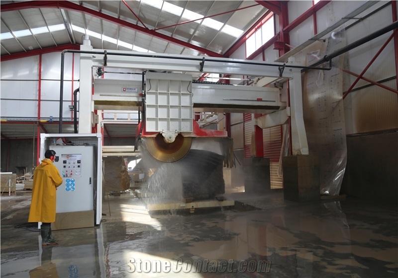ESMAS Multi Disc Bridge Type Vertical-Horizontal Block Cutting Machine